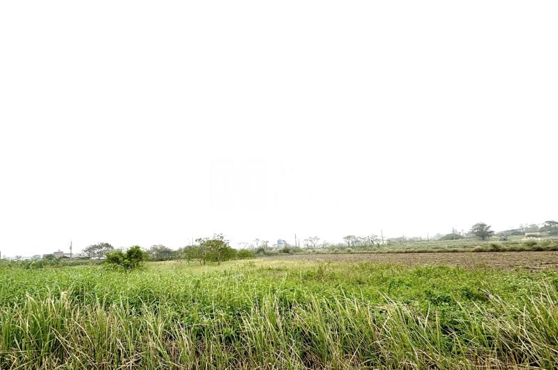新坡國小旁前後臨路農地房屋室內格局與周邊環境