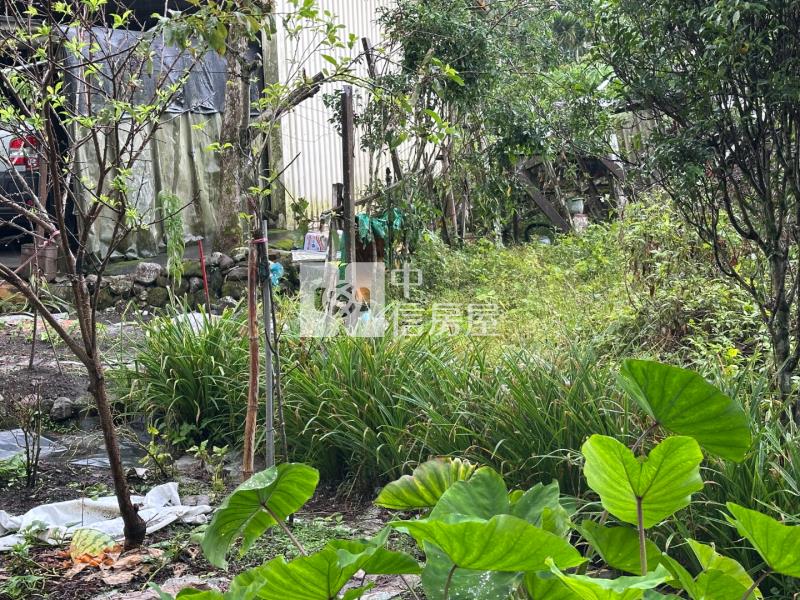 南投鹿谷廣興段建地(中寮路旁)房屋室內格局與周邊環境