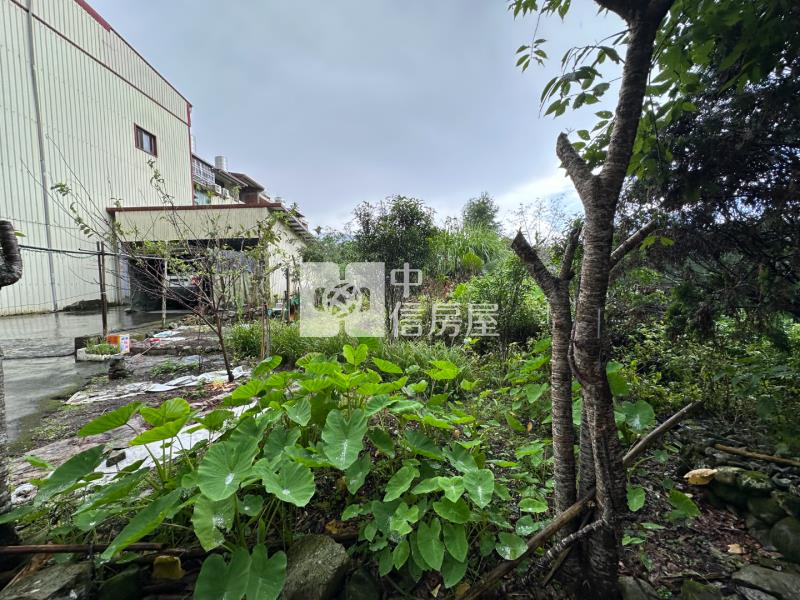 南投鹿谷廣興段建地(中寮路旁)房屋室內格局與周邊環境