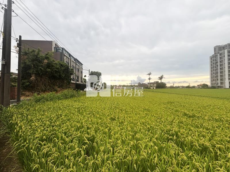 青埔雙面臨路美農地房屋室內格局與周邊環境