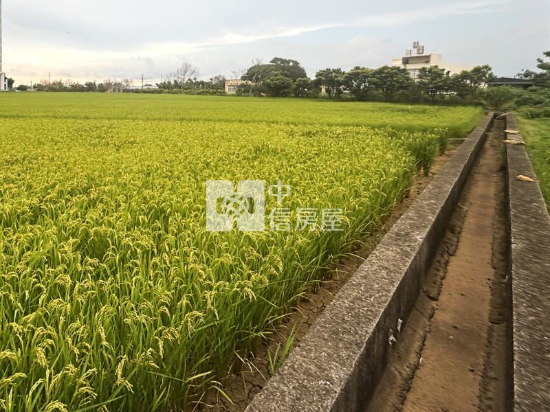 青埔雙面臨路美農地房屋室內格局與周邊環境