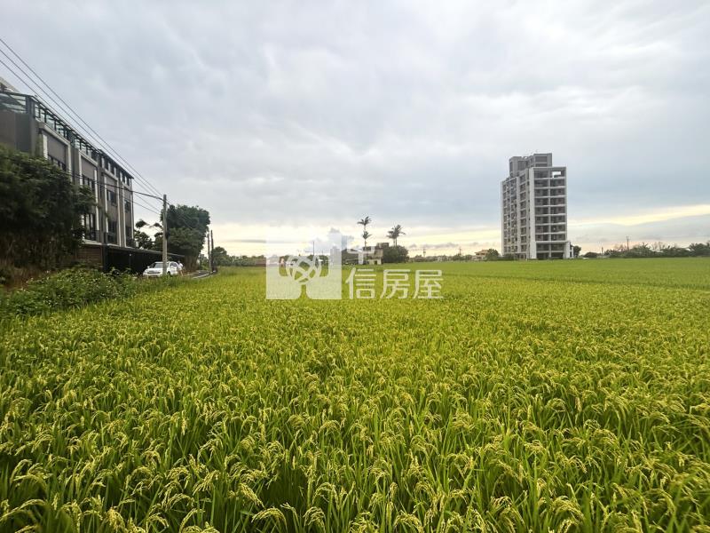 青埔雙面臨路美農地房屋室內格局與周邊環境