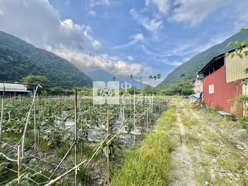 九芎林面寬田房屋室內格局與周邊環境