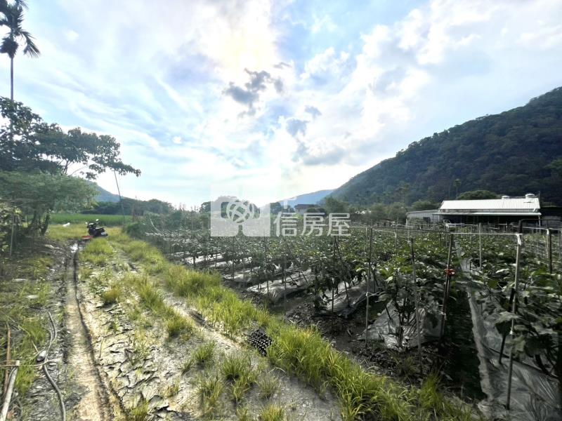 九芎林面寬田房屋室內格局與周邊環境