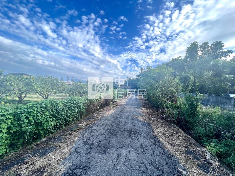 斗六文化路旁農地房屋室內格局與周邊環境