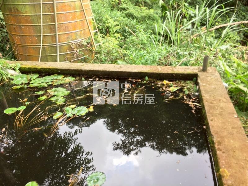 新社景觀山坡地房屋室內格局與周邊環境