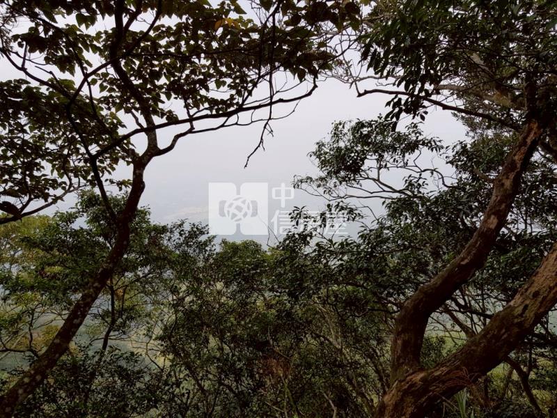 新社景觀山坡地房屋室內格局與周邊環境