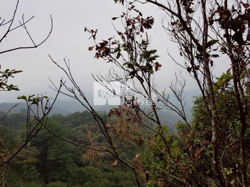 新社景觀山坡地房屋室內格局與周邊環境