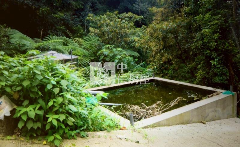 新社景觀山坡地房屋室內格局與周邊環境