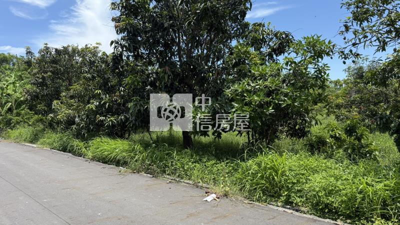 下營555坪美農地房屋室內格局與周邊環境