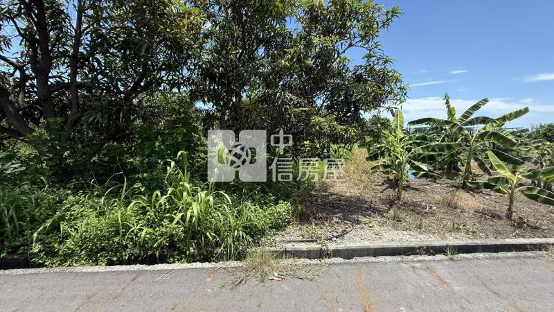 下營555坪美農地房屋室內格局與周邊環境