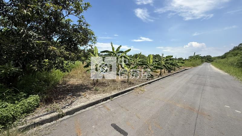 下營555坪美農地房屋室內格局與周邊環境