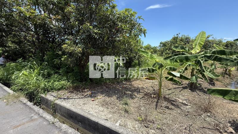 下營555坪美農地房屋室內格局與周邊環境