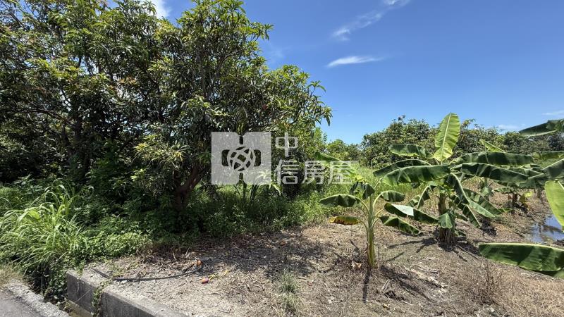 下營555坪美農地房屋室內格局與周邊環境
