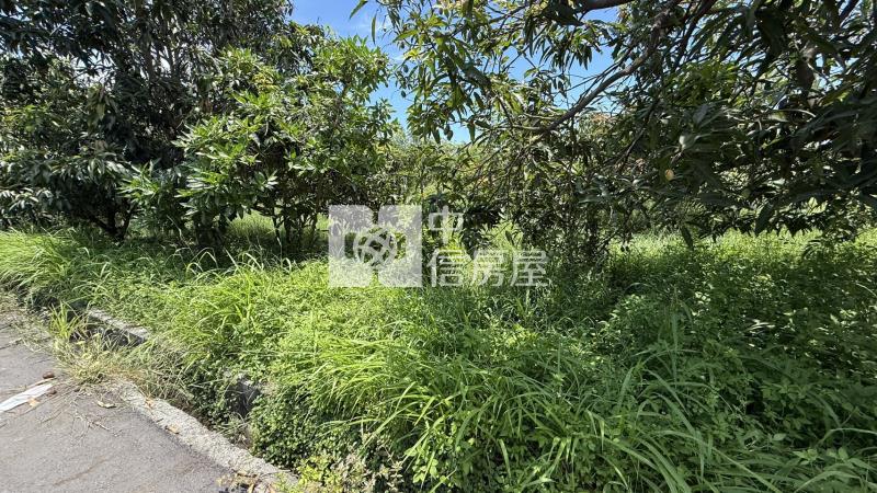 下營555坪美農地房屋室內格局與周邊環境