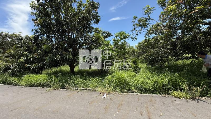 下營555坪美農地房屋室內格局與周邊環境