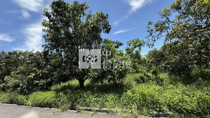 下營555坪美農地房屋室內格局與周邊環境