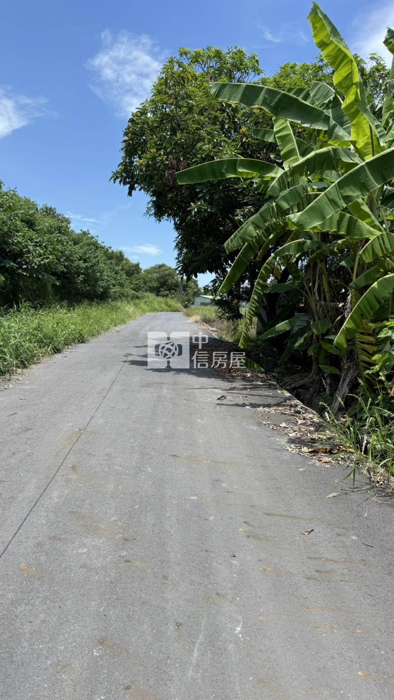 下營555坪美農地房屋室內格局與周邊環境