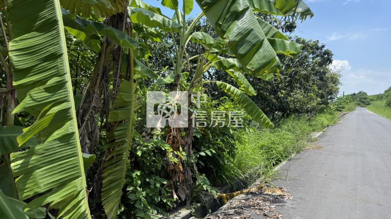 下營555坪美農地房屋室內格局與周邊環境