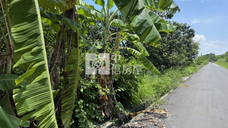 下營555坪美農地房屋室內格局與周邊環境