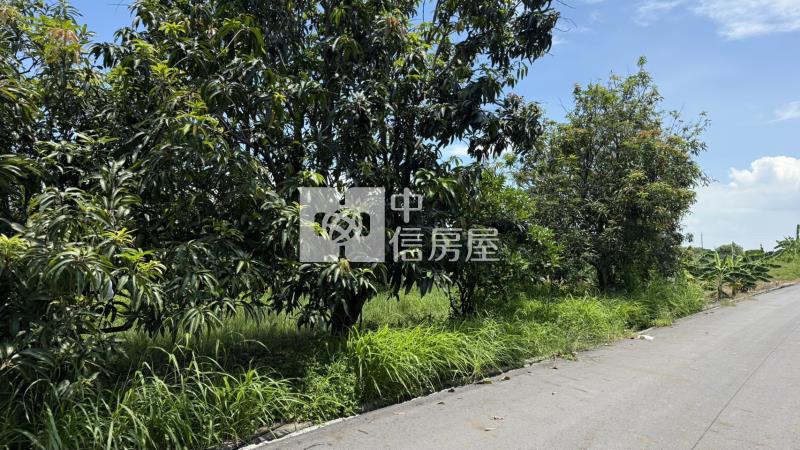 下營555坪美農地房屋室內格局與周邊環境