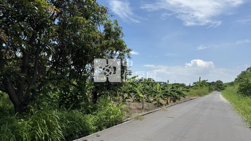 下營555坪美農地房屋室內格局與周邊環境