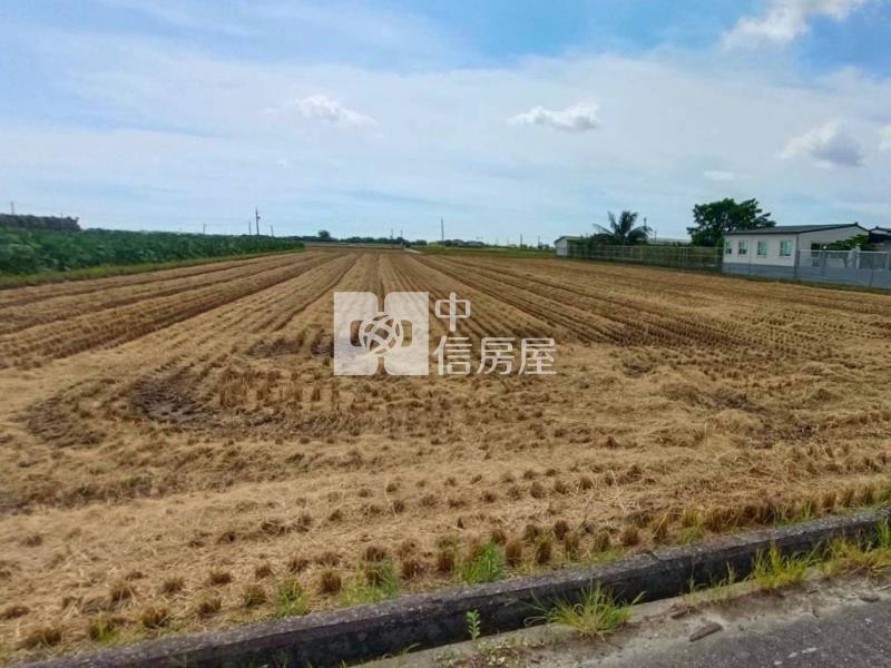 白河大面寬方正美農地房屋室內格局與周邊環境