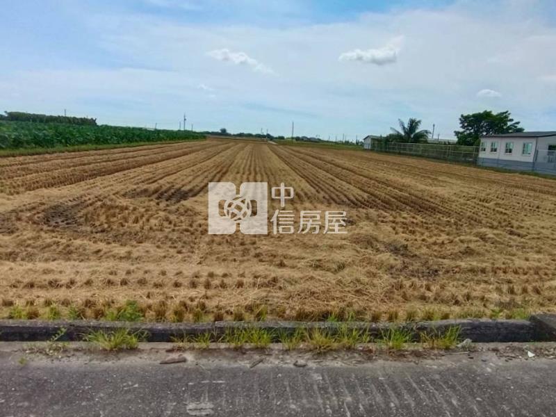 白河大面寬方正美農地房屋室內格局與周邊環境