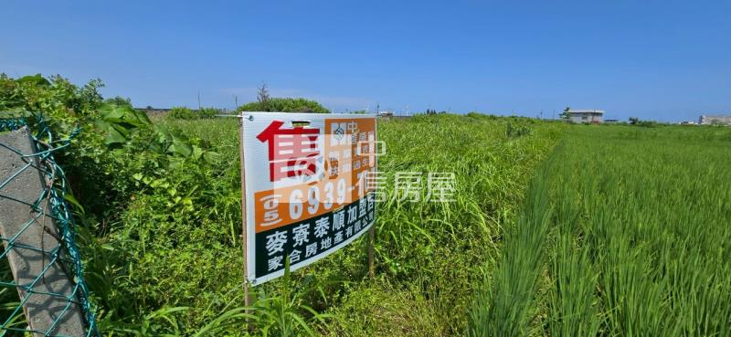 海口段都內農地房屋室內格局與周邊環境