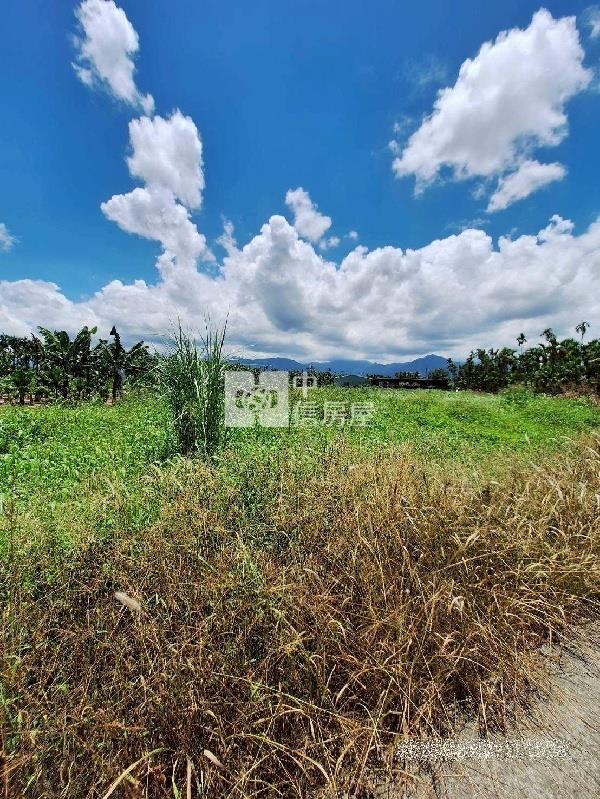 鹽埔便宜2分農地房屋室內格局與周邊環境