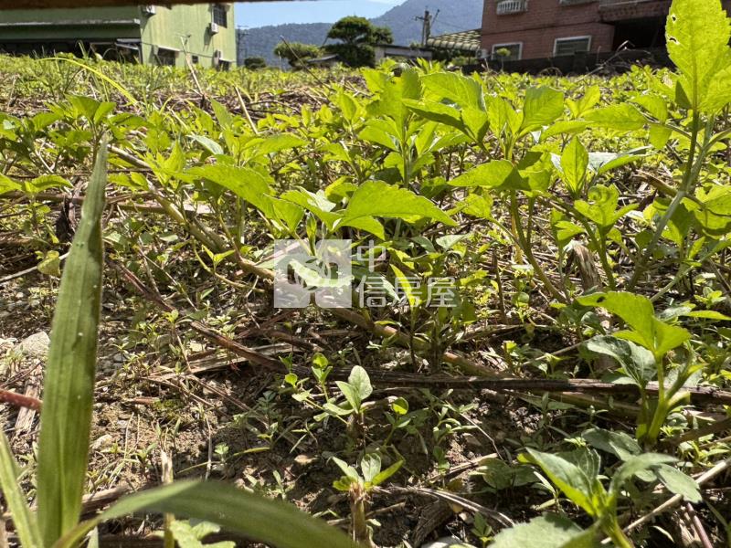 麒麟建地房屋室內格局與周邊環境