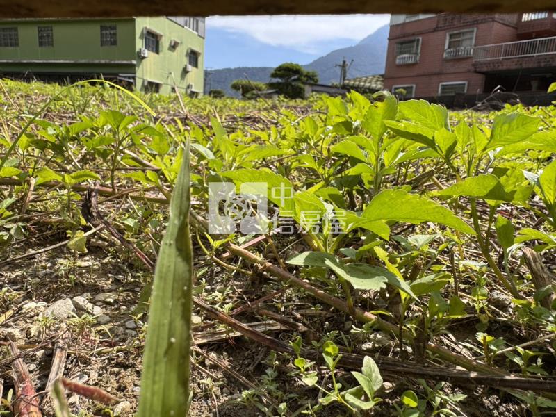麒麟建地房屋室內格局與周邊環境