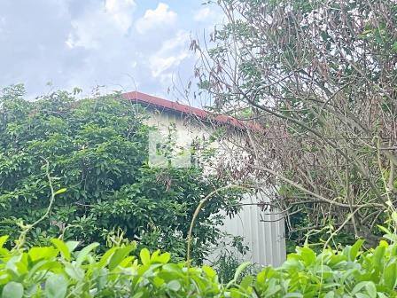 屏東農舍 長治芒果合法農舍房屋室內格局與周邊環境