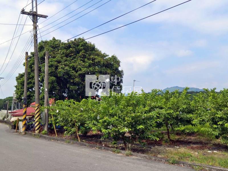 玉井平坦農地D房屋室內格局與周邊環境