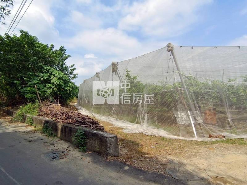 玉井平坦農地D房屋室內格局與周邊環境