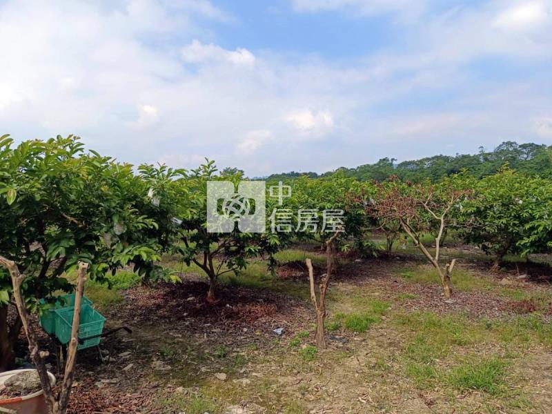玉井平坦農地D房屋室內格局與周邊環境