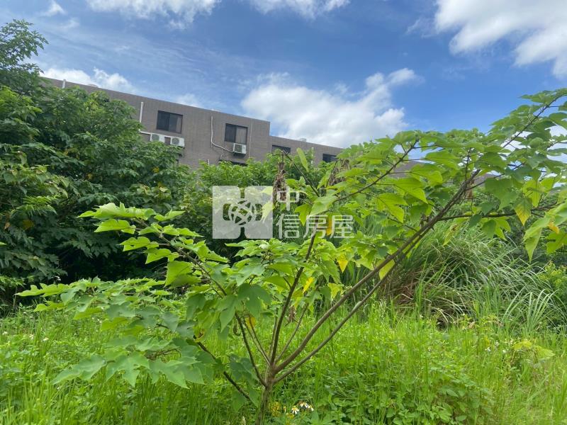 龍潭中興路農地房屋室內格局與周邊環境