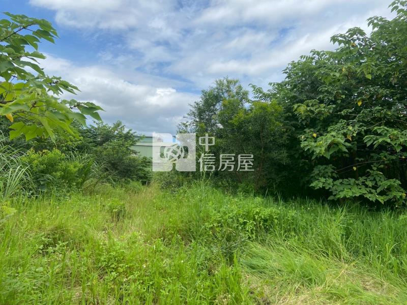 龍潭中興路農地房屋室內格局與周邊環境