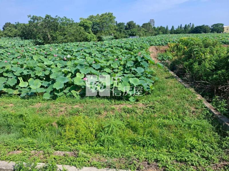 【安家】觀音高中新華路蓮花田農地房屋室內格局與周邊環境
