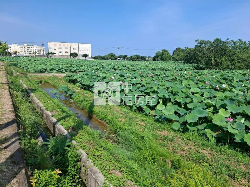 【安家】觀音高中新華路蓮花田農地房屋室內格局與周邊環境