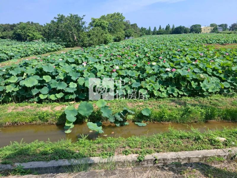 【安家】觀音高中新華路蓮花田農地房屋室內格局與周邊環境