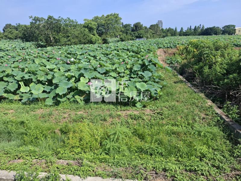 觀音新華路小坪數農地房屋室內格局與周邊環境