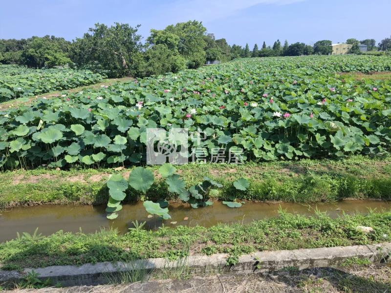 觀音新華路小坪數農地房屋室內格局與周邊環境
