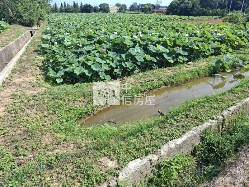 觀音新華路小坪數農地房屋室內格局與周邊環境