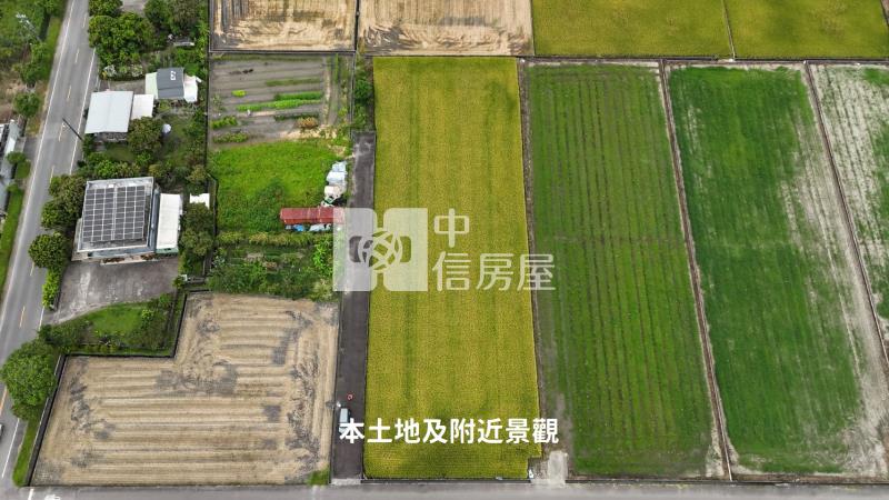 005-三星鄰路農地【中信王牌】房屋室內格局與周邊環境