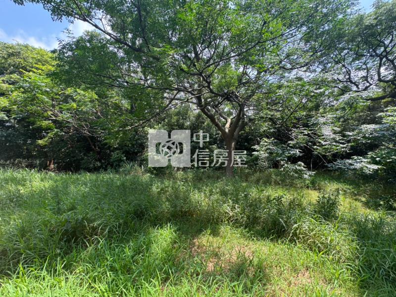 中壢『中央大學』都計內農地房屋室內格局與周邊環境