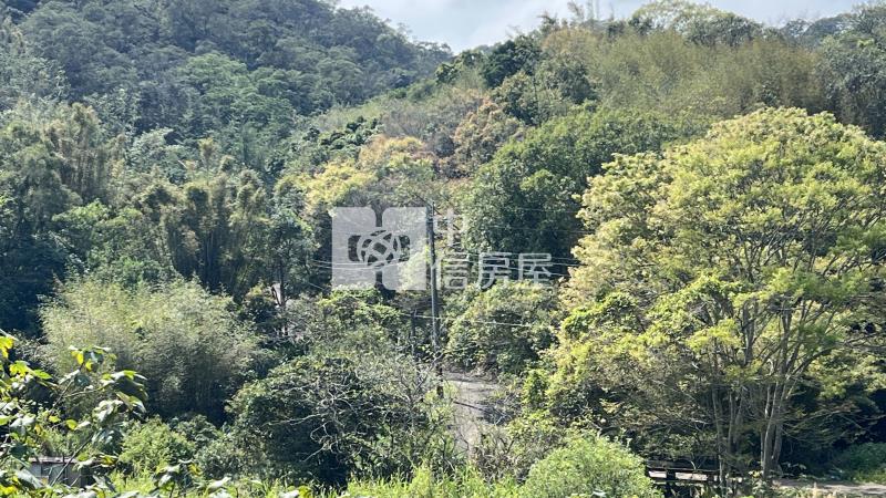 【新夢想】新埔鎮照鏡段農+建房屋室內格局與周邊環境