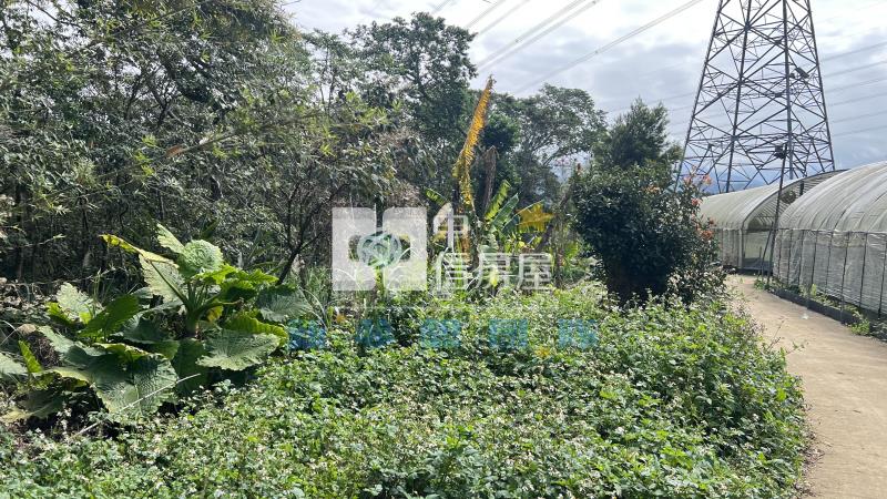【新夢想】龍潭丙建+特專持分用地房屋室內格局與周邊環境