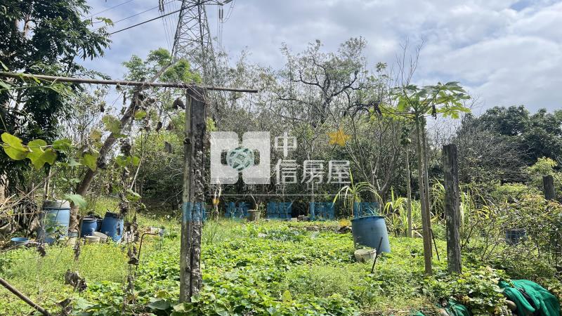 【新夢想】龍潭丙建+特專持分用地房屋室內格局與周邊環境