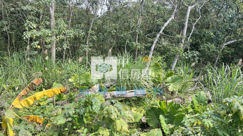 【新夢想】龍潭丙建+特專持分用地房屋室內格局與周邊環境